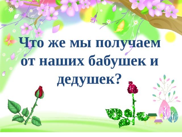 Что же мы получаем от наших бабушек и дедушек? 