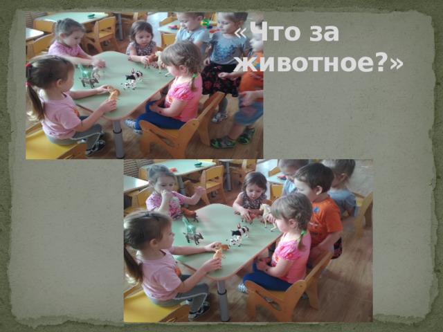 « Что за животное?» 