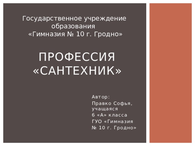 Государственное учреждение образования  «Гимназия № 10 г. Гродно» Профессия «Сантехник» Автор: Правко Софья, учащаяся 6 «А» класса ГУО «Гимназия № 10 г. Гродно» 