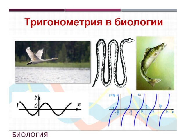Биология 