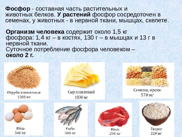 Фосфор - составная часть растительных и животных белков. У растений фосфор сосредоточен в семенах, у животных - в нервной ткани, мышцах, скелете. Организм человека содержит около 1,5 кг фосфора: 1,4 кг – в костях, 130 г – в мышцах и 13 г в нервной ткани. Суточное потребление фосфора человеком – около 2 г. 
