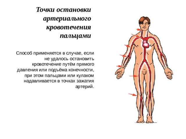 Точки остановки артериального кровотечения пальцами Способ применяется в случае, если не удалось остановить кровотечение путём прямого давления или подъёма конечности, при этом пальцами или кулаком надавливается в точках зажатия артерий. 