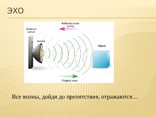 ЭХО Звуковые волны также отражаются от препятствий. Известное нам эхо не что иное, как результат отражения звука от препятствий. Интересно отметить, что отражение звука может происходить от горы, от леса и даже … от воздуха. Такое эхо можно услышать, если крикнуть в длинную трубу большого диаметра. Вы услышите звук, отразившийся от воздуха, соприкасающегося с другим открытым концом трубы. Все волны, дойдя до препятствия, отражаются…  