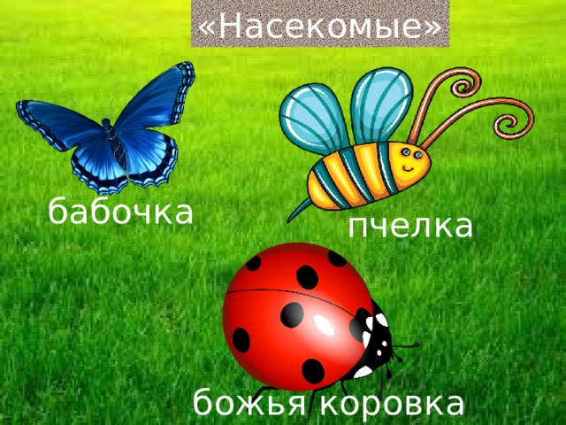 «Насекомые» бабочка пчелка божья коровка 