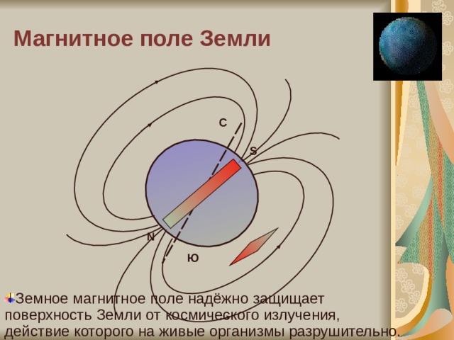 Магнитное поле Земли С S N Ю Земное магнитное поле надёжно защищает поверхность Земли от космического излучения, действие которого на живые организмы разрушительно. 