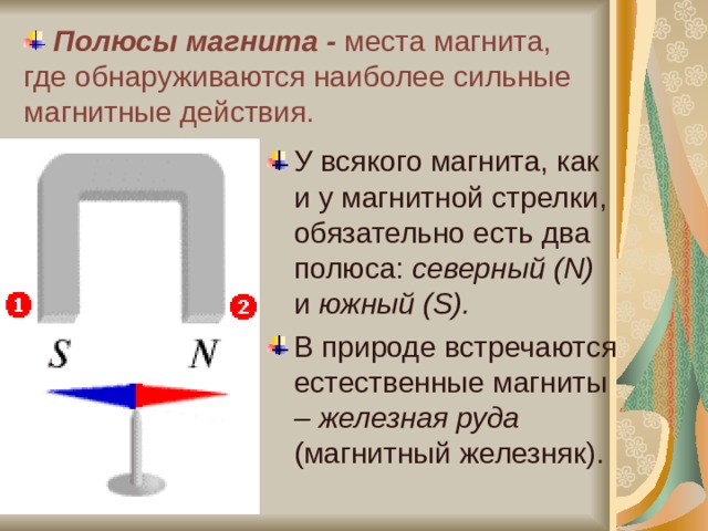  Полюсы магнита - места магнита, где обнаруживаются наиболее сильные магнитные действия. У всякого магнита, как и у магнитной стрелки, обязательно есть два полюса: северный ( N) и южный ( S) . В природе встречаются естественные магниты – железная руда (магнитный железняк). 