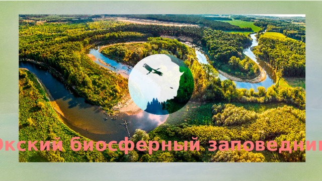 Окский биосферный заповедник 