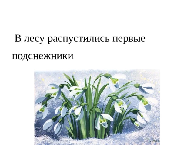  В лесу распустились первые подснежники . 