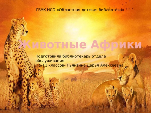 ГБУК НСО «Областная детская библиотека» Животные Африки Подготовила библиотекарь отдела обслуживания 5-11 классов- Пьянзина Дарья Алексеевна 