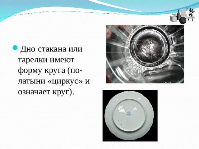 Дно стакана или тарелки имеют форму круга (по-латыни «циркус» и означает круг).  
