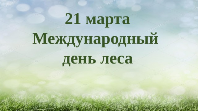 21 марта Международный день леса          