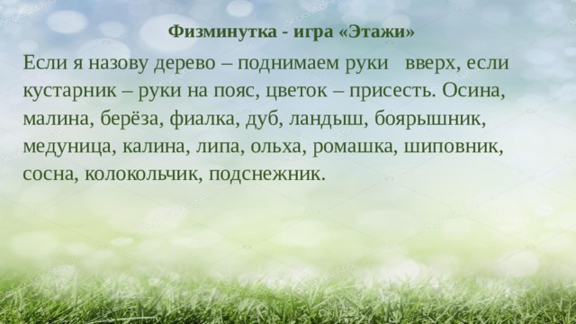 Физминутка - игра «Этажи» Если я назову дерево – поднимаем руки вверх, если кустарник – руки на пояс, цветок – присесть. Осина, малина, берёза, фиалка, дуб, ландыш, боярышник, медуница, калина, липа, ольха, ромашка, шиповник, сосна, колокольчик, подснежник. 