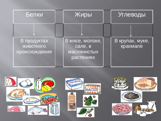 Белки Жиры В продуктах животного происхождения Углеводы В мясе, молоке, сале, в маслянистых растениях В крупах, муке, крахмале 