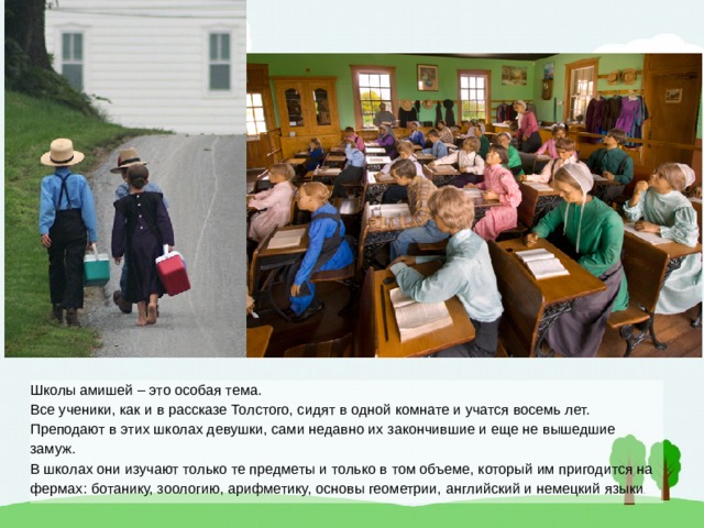 Школы амишей – это особая тема.  Все ученики, как и в рассказе Толстого, сидят в одной комнате и учатся восемь лет.  Преподают в этих школах девушки, сами недавно их закончившие и еще не вышедшие замуж.  В школах они изучают только те предметы и только в том объеме, который им пригодится на фермах: ботанику, зоологию, арифметику, основы геометрии, английский и немецкий языки . 