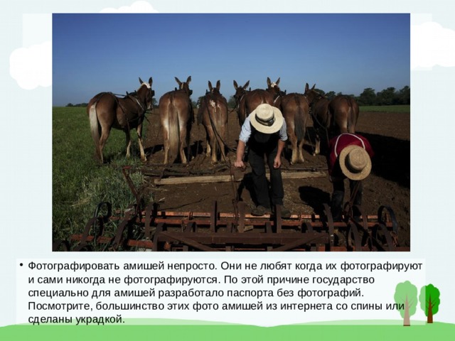 Фотографировать амишей непросто. Они не любят когда их фотографируют и сами никогда не фотографируются. По этой причине государство специально для амишей разработало паспорта без фотографий. Посмотрите, большинство этих фото амишей из интернета со спины или сделаны украдкой. 