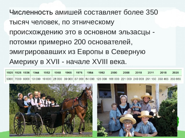 Численность  амишей составляет более 350 тысяч человек, по этническому происхождению это в основном эльзасцы - потомки примерно 200 основателей, эмигрировавших из Европы в Северную Америку в XVII - начале XVIII века. 