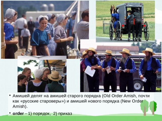 Амишей делят на амишей старого порядка (Old Order Amish, почти как «русские староверы») и амишей нового порядка (New Order Amish). order - 1) порядок, 2) приказ 