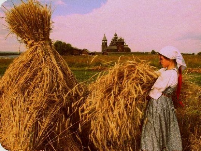 - И складывали его в стога.  
