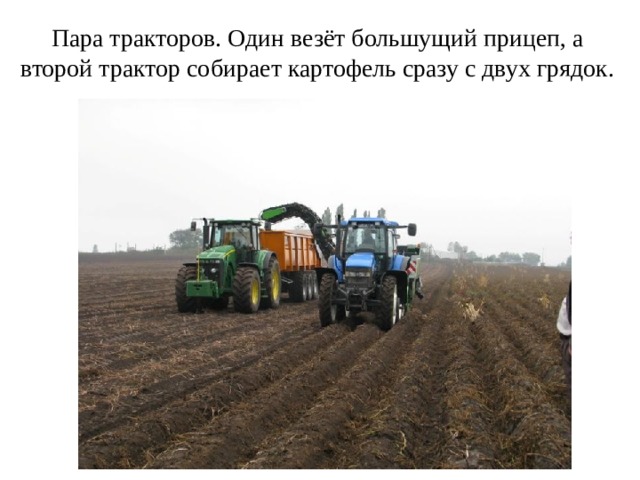 Пара тракторов. Один везёт большущий прицеп, а второй трактор собирает картофель сразу с двух грядок.   