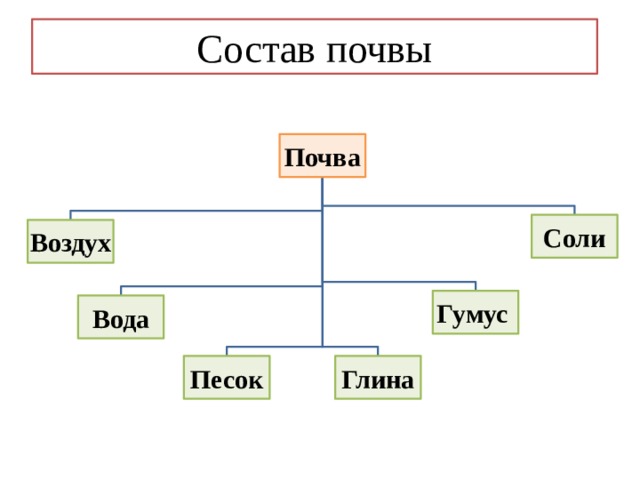Состав почвы Почва Соли Воздух Гумус Вода Песок Глина 