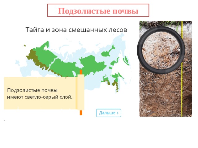 Подзолистые почвы 