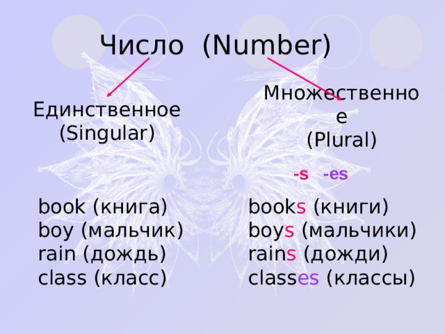 Число ( Number ) Единственное  ( Singular ) Множественное  ( Plural ) - s -es book s ( книги )  boy s (мальчики)  rain s (дожди)  class es (классы)   book ( книга )  boy (мальчик)  rain (дождь)  class (класс)   