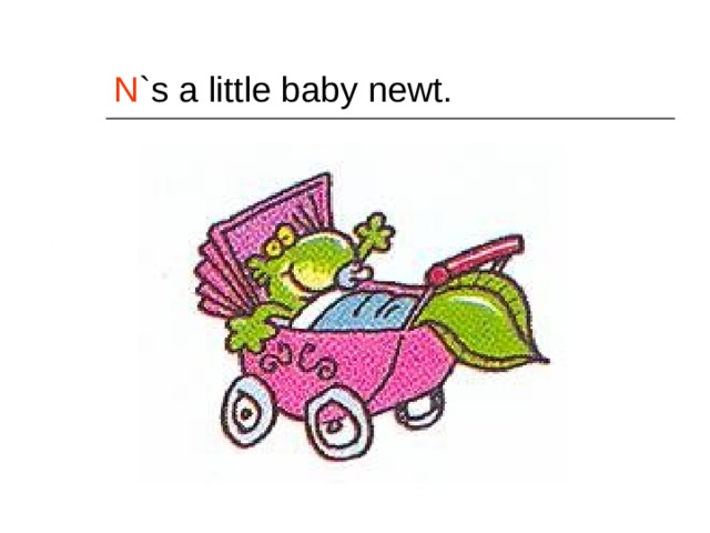 N `s a little baby newt. 