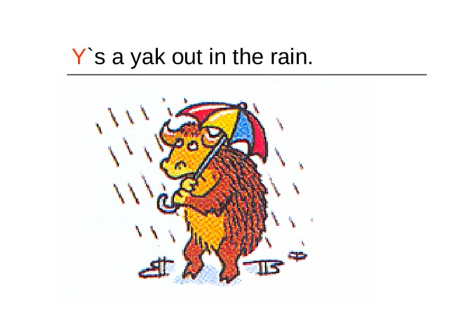 Y `s a yak out in the rain. 