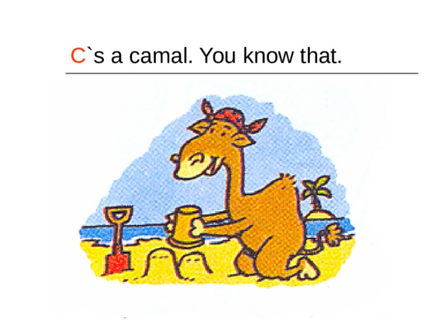 C `s a camal. You know that. 