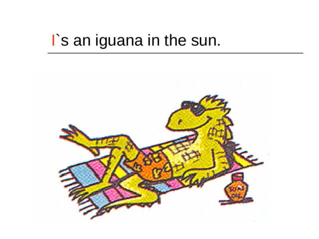 I `s an iguana in the sun. 