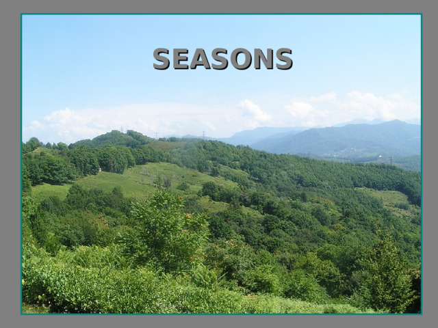SEASONS 
