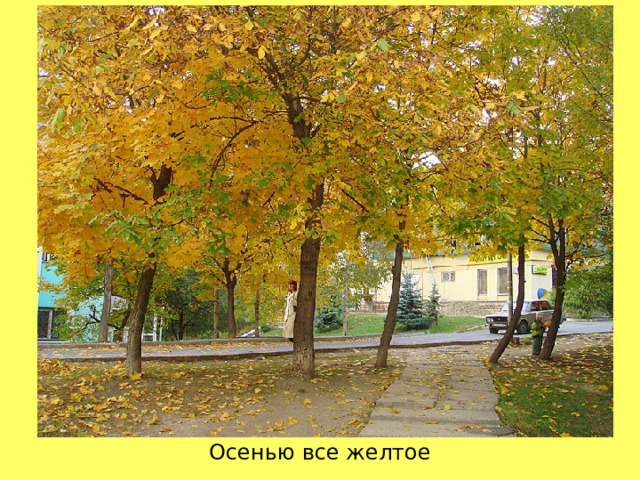 Осенью все желтое 