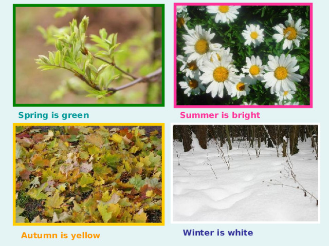 Spring is green  Summer is bright  Autumn is yellow  Winter is white 
