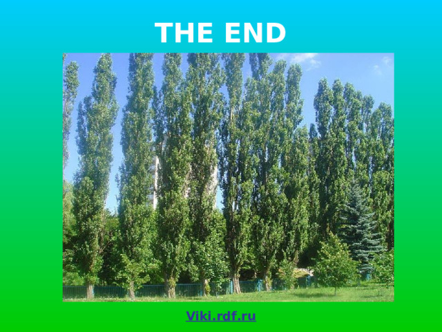THE END Viki.rdf.ru 