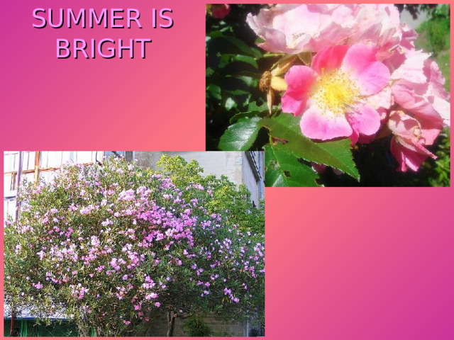 SUMMER IS BRIGHT 
