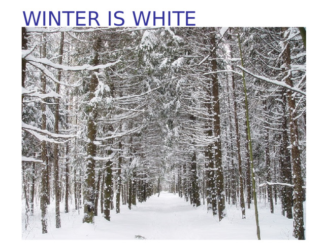 WINTER IS WHITE 