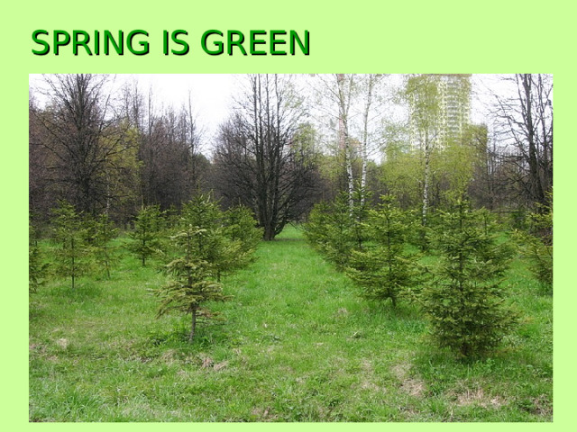 SPRING IS GREEN 