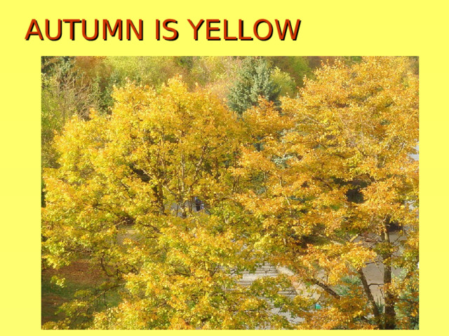AUTUMN IS YELLOW 