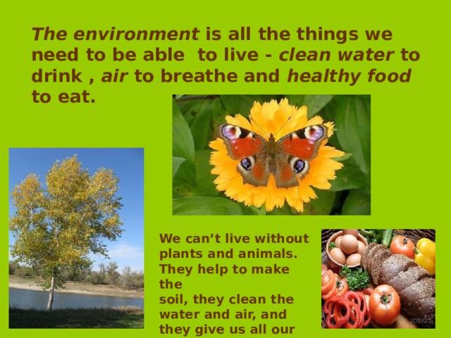 The environment is all the things we need to be able to live - clean water to drink , air to breathe and healthy food to eat.    We can’t live without plants and animals. They help to make the soil, they clean the water and air, and they give us all our food. 