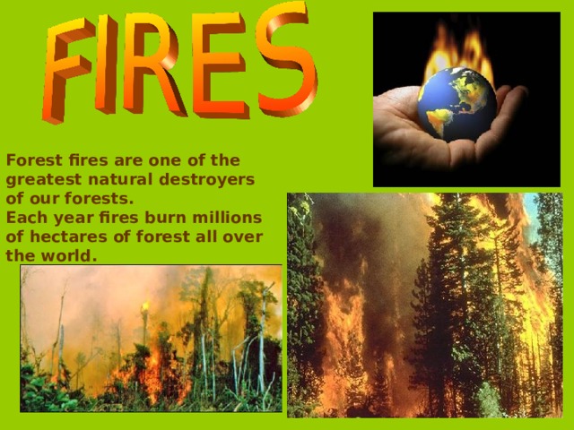 Forest fires are one of the greatest natural destroyers of our forests. Each year fires burn millions of hectares of forest all over the world.  