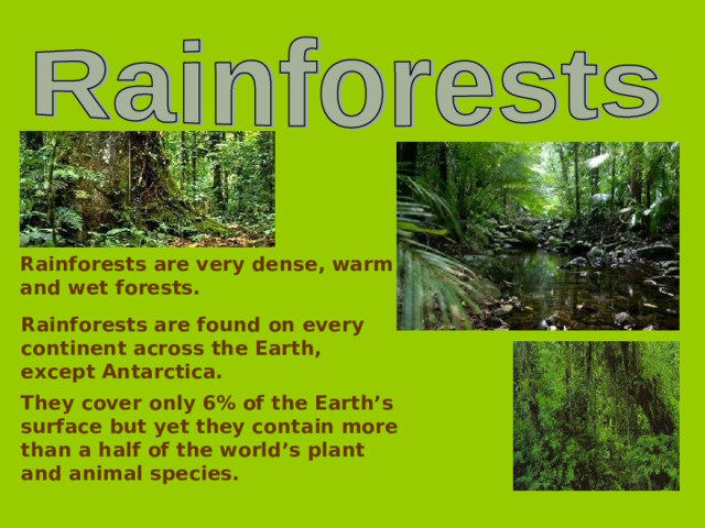 Rainforests are very dense, warm and wet forests. Rainforests are found on every continent across the Earth, except Antarctica. They cover only 6% of the Earth’s surface but yet they contain more than a half of the world’s plant and animal species.  