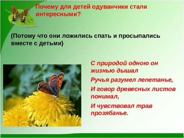 Почему для детей одуванчики стали интересными?   (Потому что они ложились спать и просыпались вместе с детьми) С природой одною он жизнью дышал Ручья разумел лепетанье, И говор древесных листов понимал, И чувствовал трав прозябанье.   