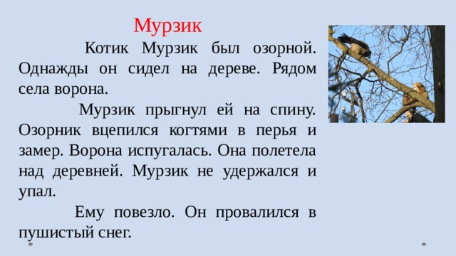 Мурзик  Котик Мурзик был озорной. Однажды он сидел на дереве. Рядом села ворона.  Мурзик прыгнул ей на спину. Озорник вцепился когтями в перья и замер. Ворона испугалась. Она полетела над деревней. Мурзик не удержался и упал.  Ему повезло. Он провалился в пушистый снег. 