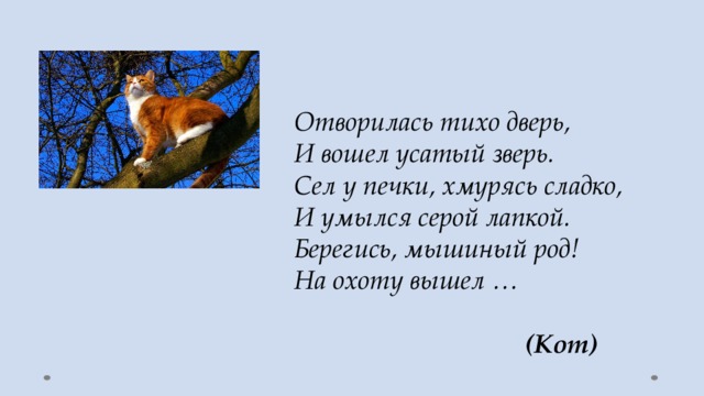 Отворилась тихо дверь,   И вошел усатый зверь.   Сел у печки, хмурясь сладко,   И умылся серой лапкой.   Берегись, мышиный род!   На охоту вышел …    (Кот)  