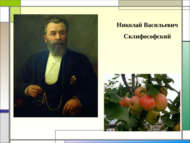 Николай Васильевич Склифософский 