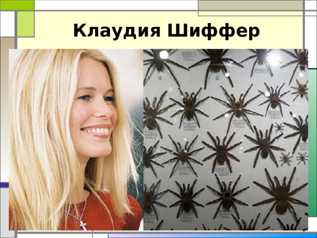 Клаудия Шиффер 