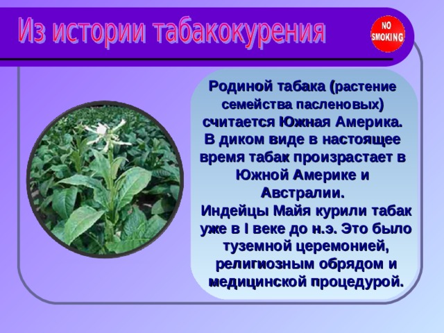Родиной табака  ( растение семейства пасленовых )  считается Южная Америка. В диком виде в настоящее время табак произрастает в Южной Америке и Австралии. Индейцы Майя курили табак уже в I веке до н.э. Это было туземной церемонией, религиозным обрядом и медицинской процедурой. 