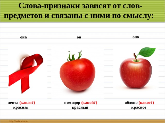 Слова-признаки зависят от слов-предметов и связаны с ними по смыслу:    оно  она  он лента (какая ? ) красная помидор (какой ? ) красный яблоко (какое ? ) красное    