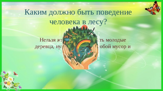 Каким должно быть поведение человека в лесу? Нельзя жечь костры, ломать молодые деревца, нужно убирать за собой мусор и др. 