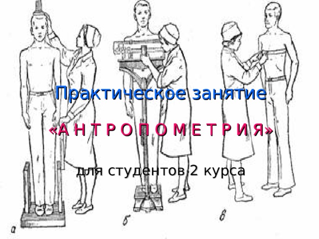 Практическое занятие    «А Н Т Р О П О М Е Т Р И Я»   для студентов 2 курса   